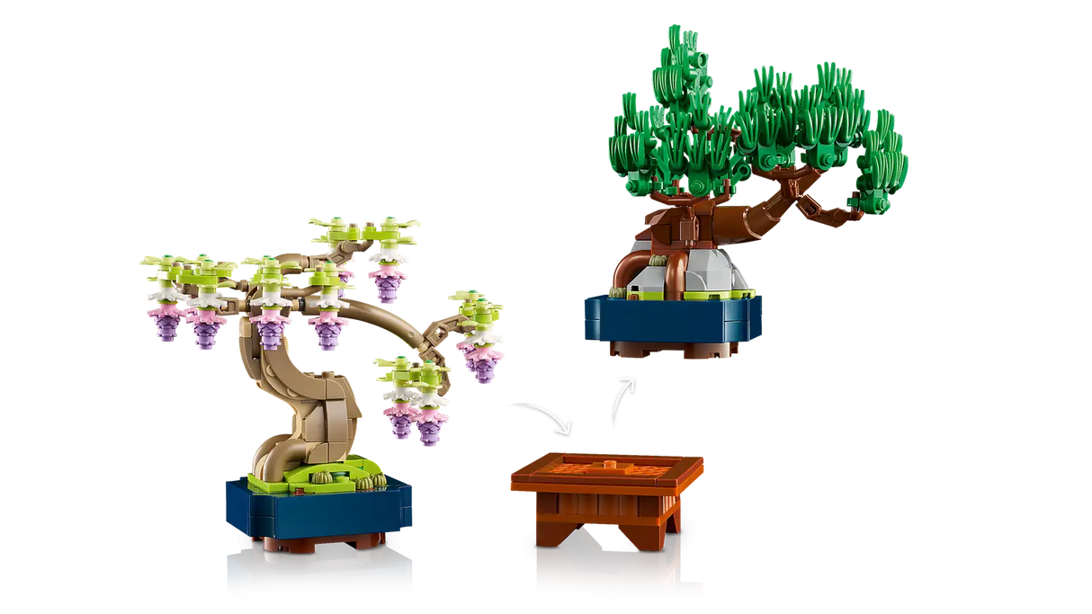 Mini Bonsai Trees