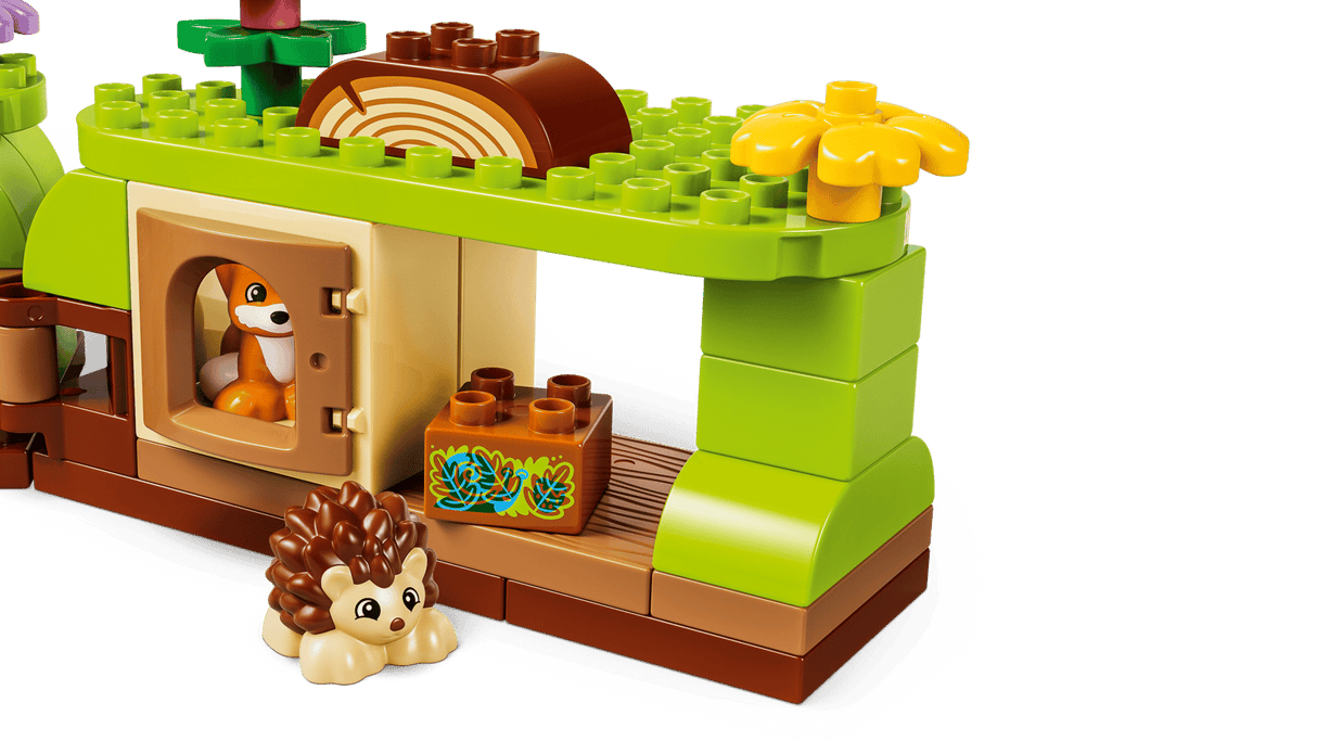 Discovery Forest with Wild Animals