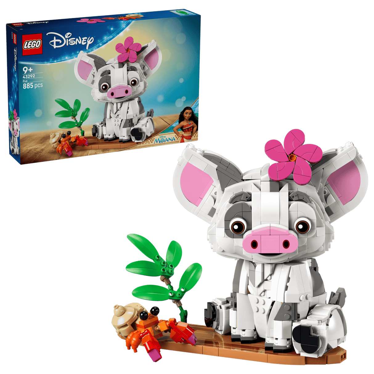 Pua
