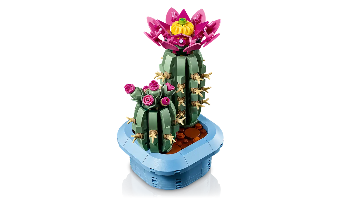 Flowering Cactus