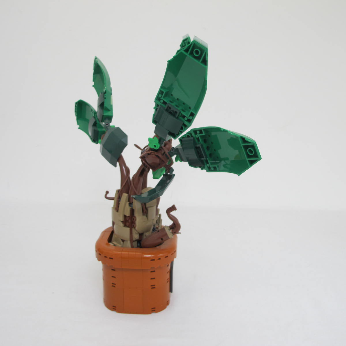 Mandrake. Complete with instructions and box