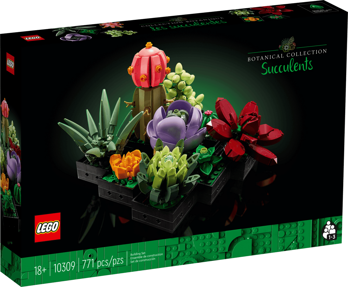 Succulents