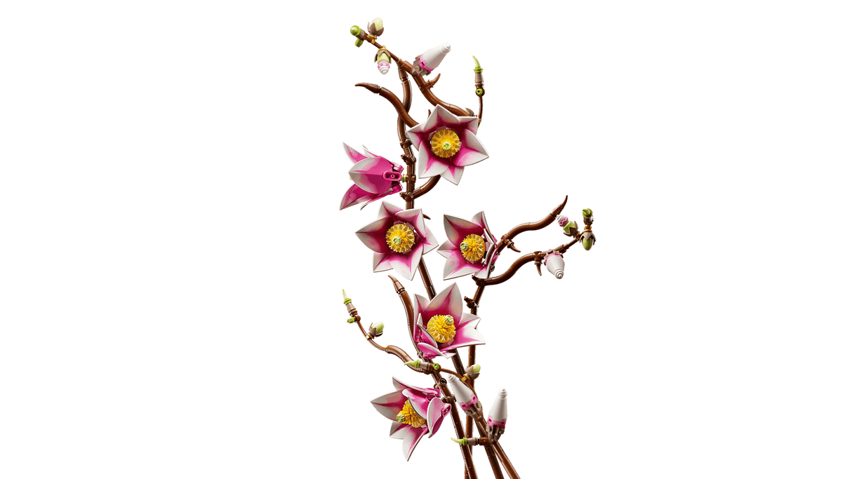 Magnolia Branches