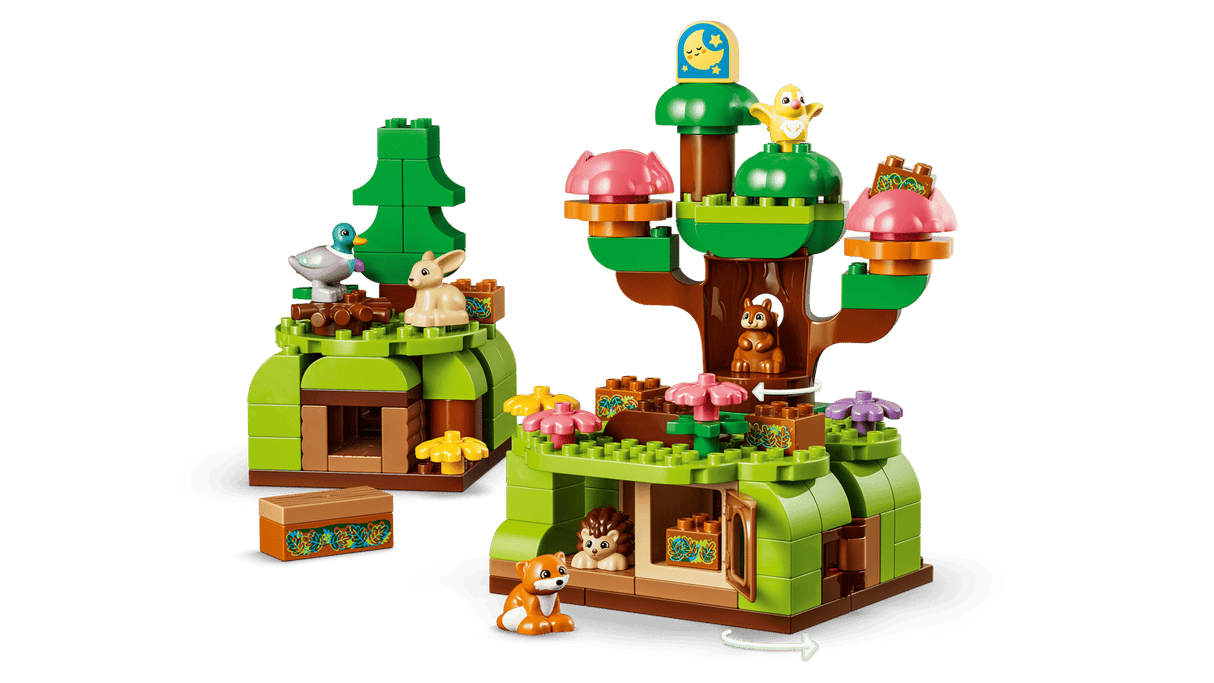 Discovery Forest with Wild Animals