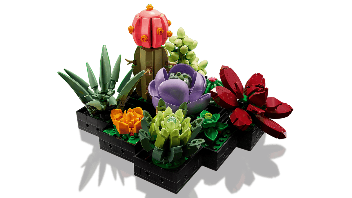 Succulents