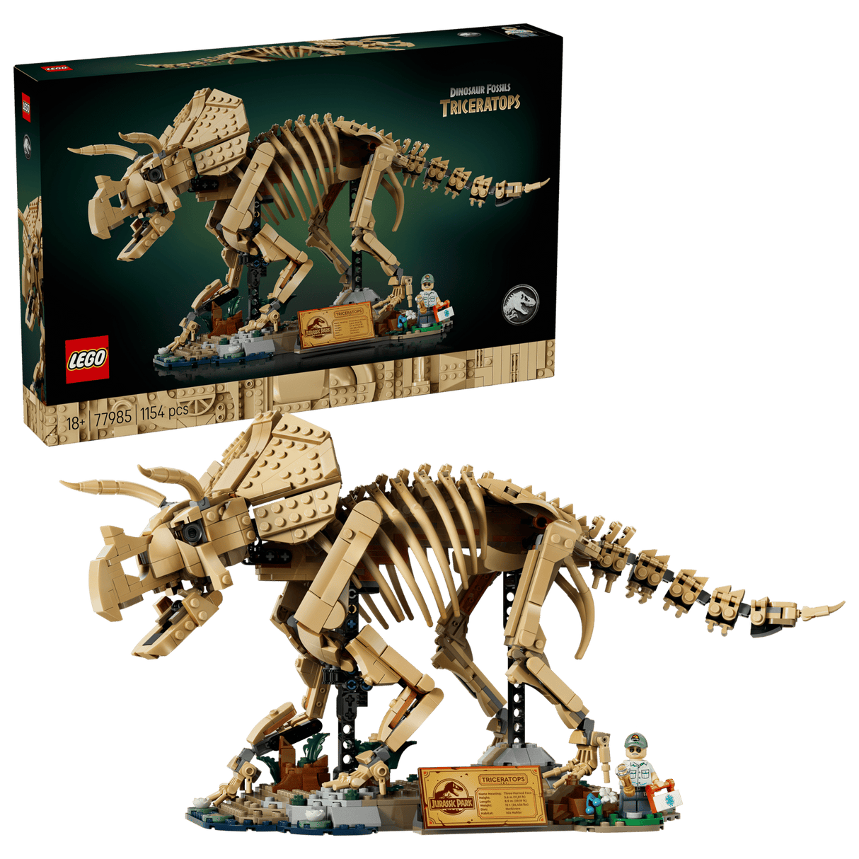 Dinosaur Fossils: Triceratops