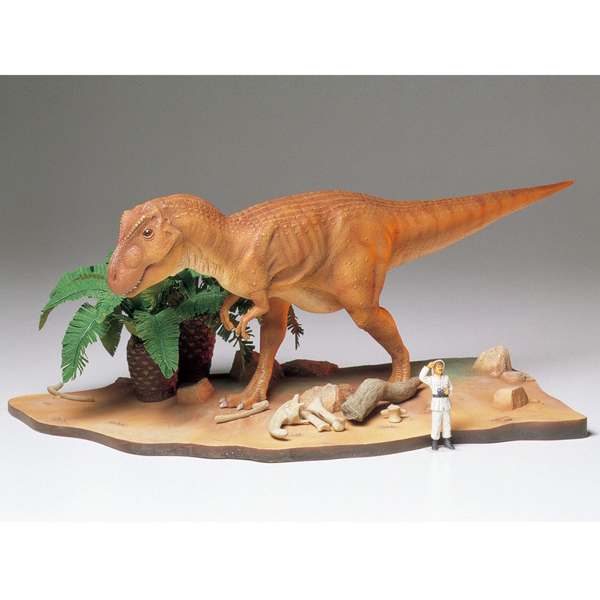 Tyrannosaurus Diorama