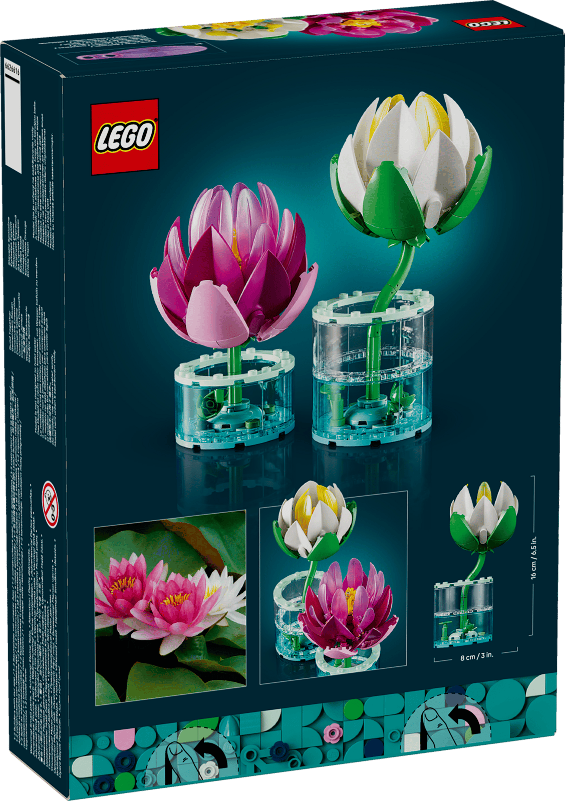 Water Lilies