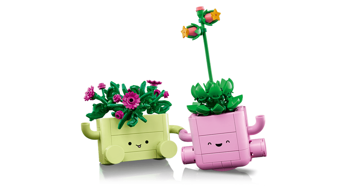 Rocking Plants