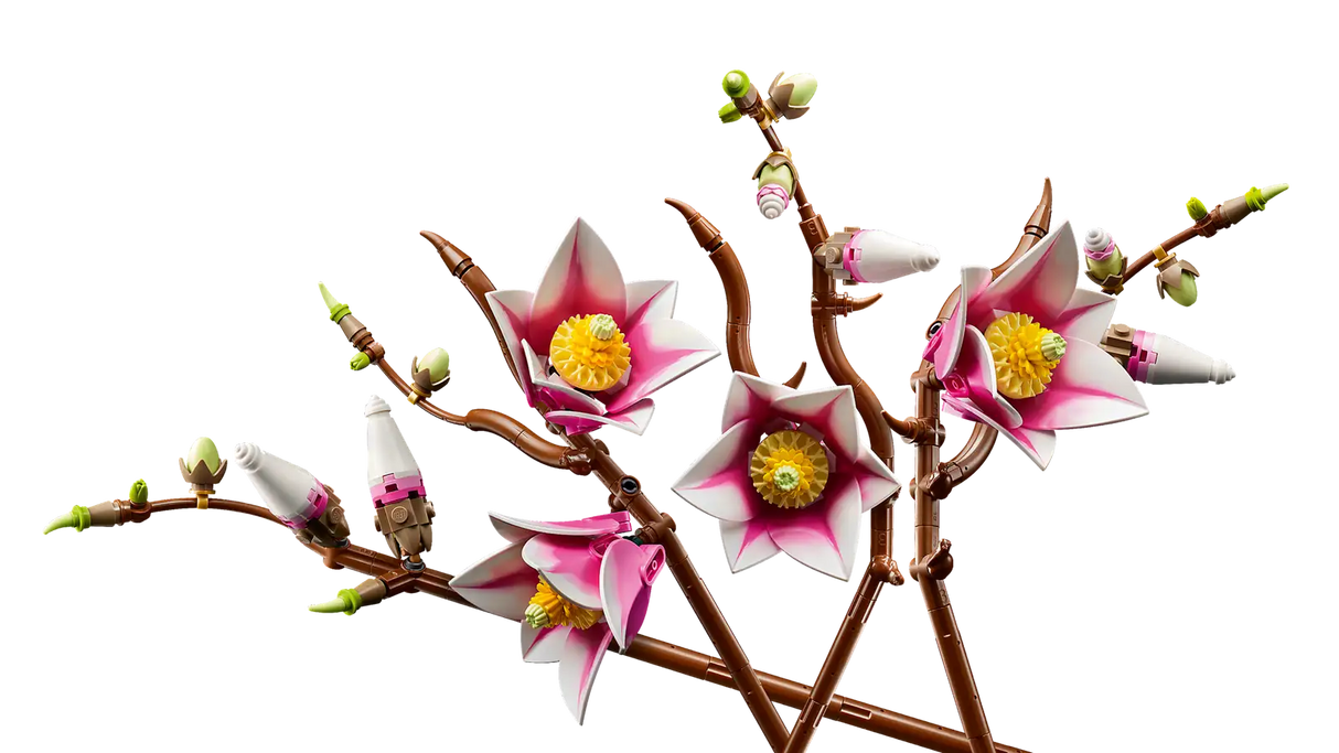 Magnolia Branches