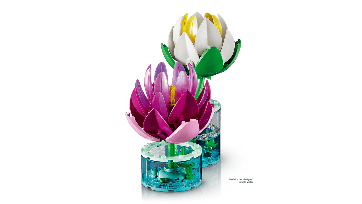 Water Lilies