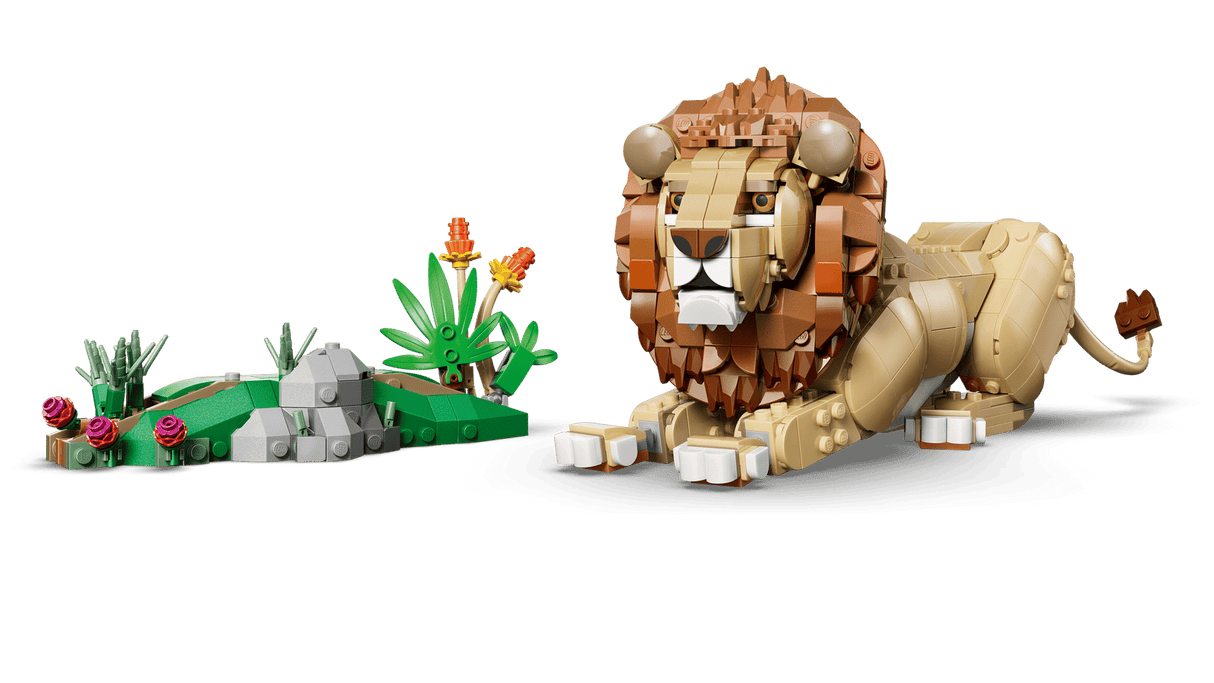 Wild Animals: Majestic Lion