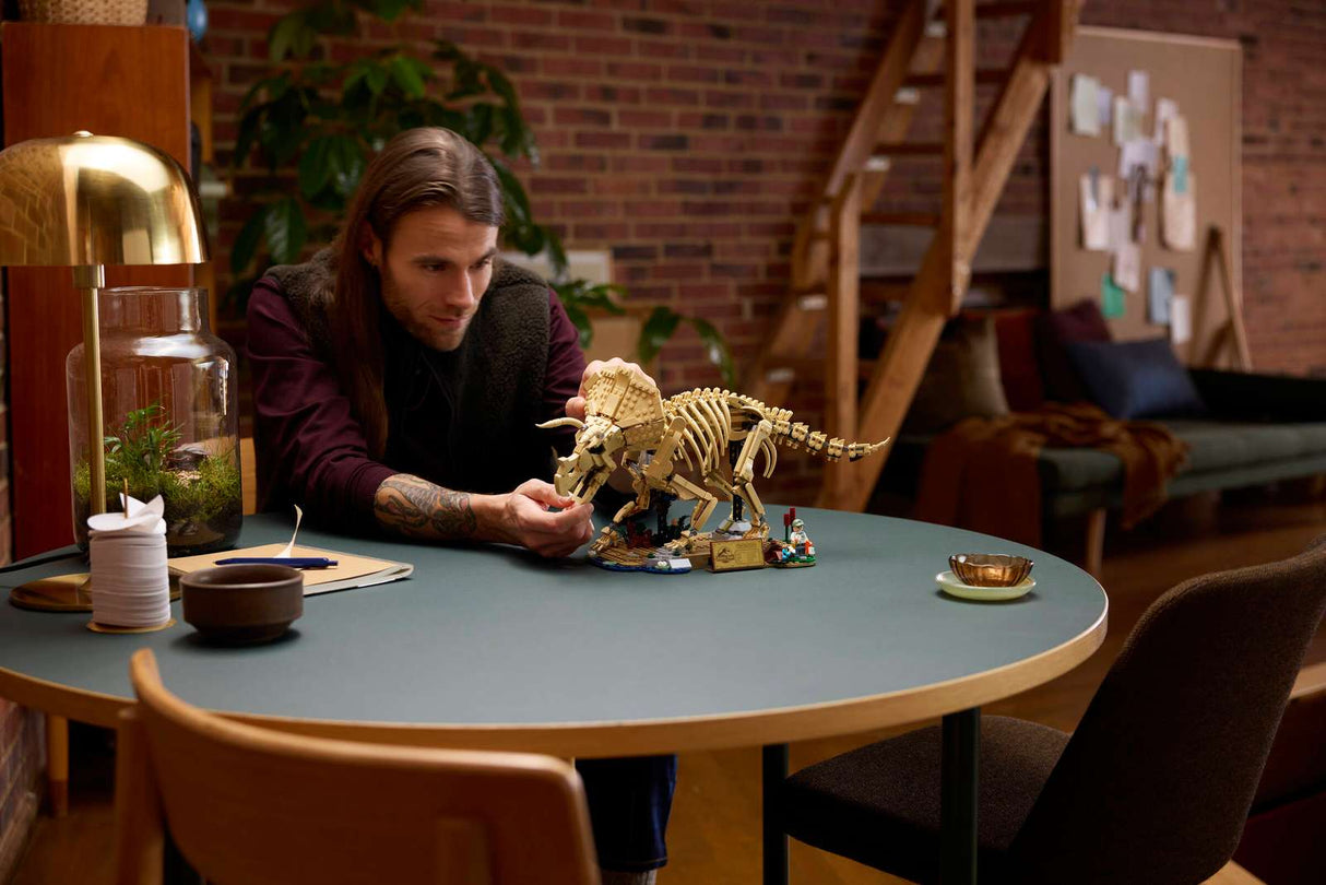 Dinosaur Fossils: Triceratops