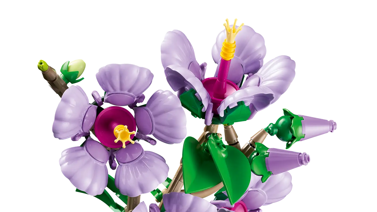 Hibiscus