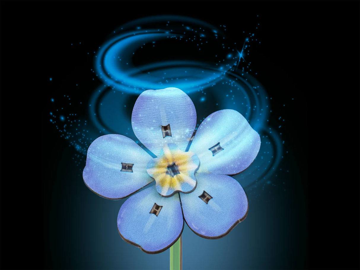 Blossom Festival
