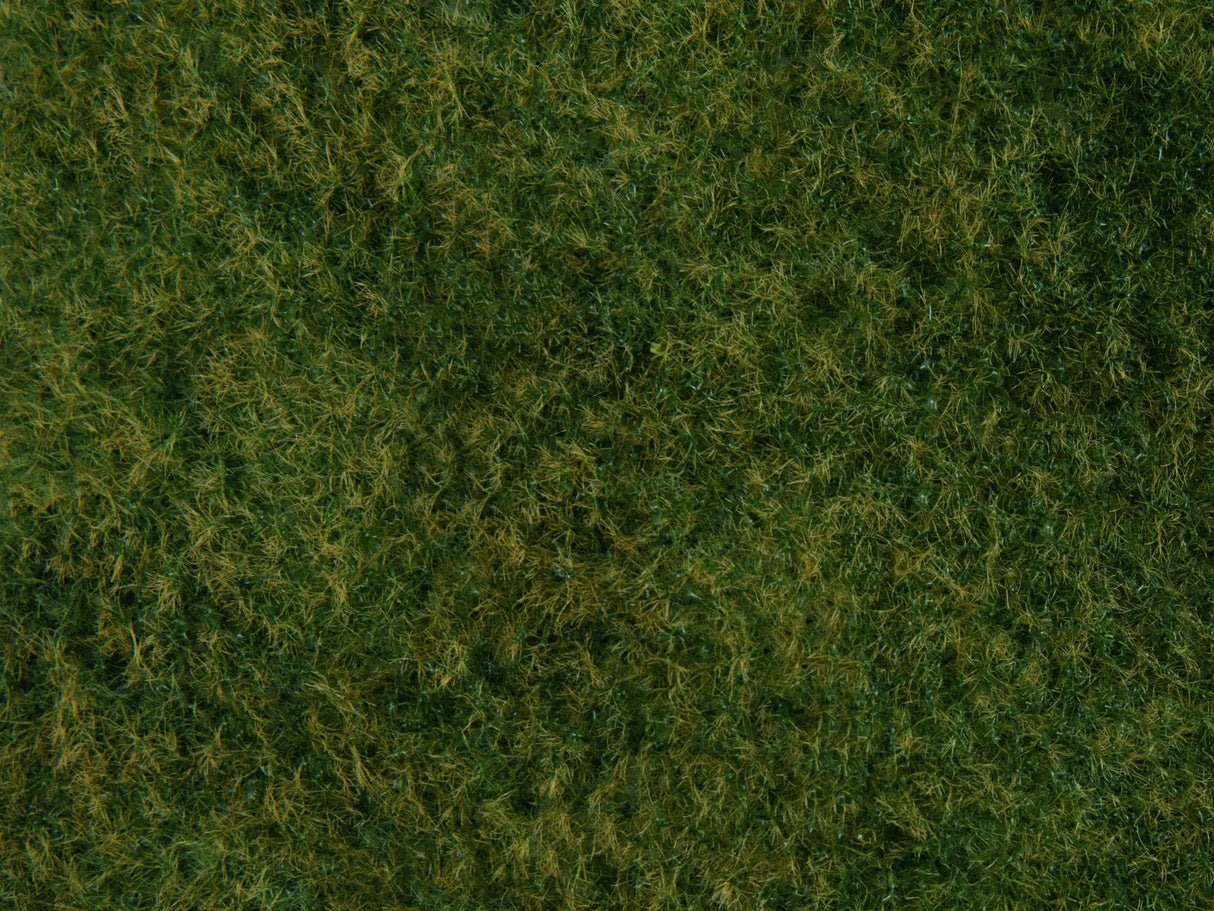 Wild Grass XL