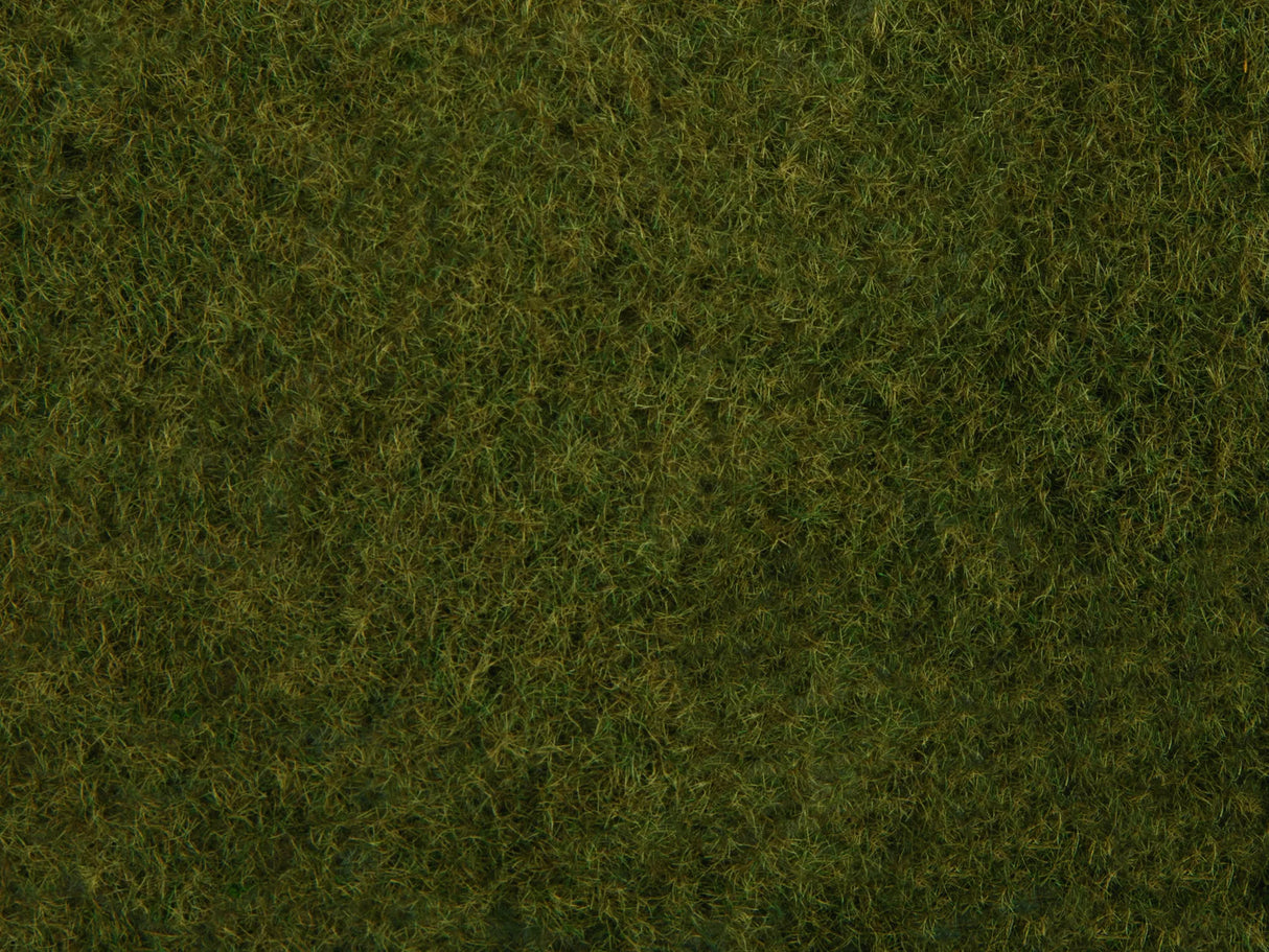 Wild Grass XL