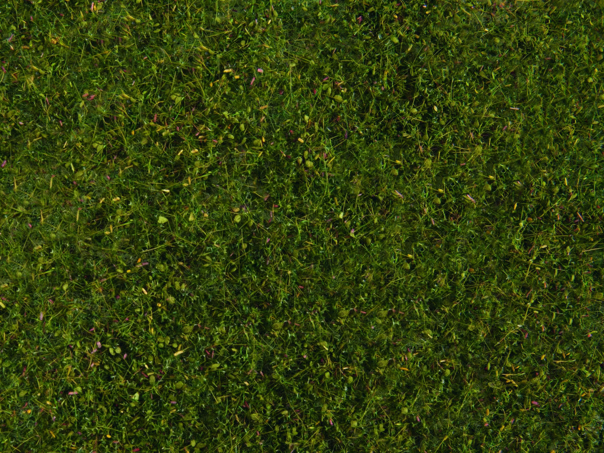 Wild Grass "Meadow"