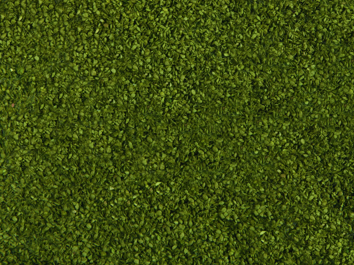 Wild Grass