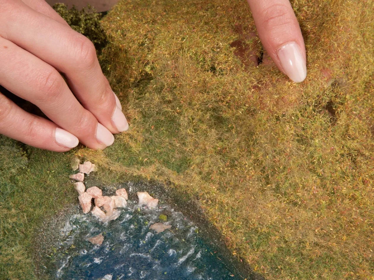 Wild Grass
