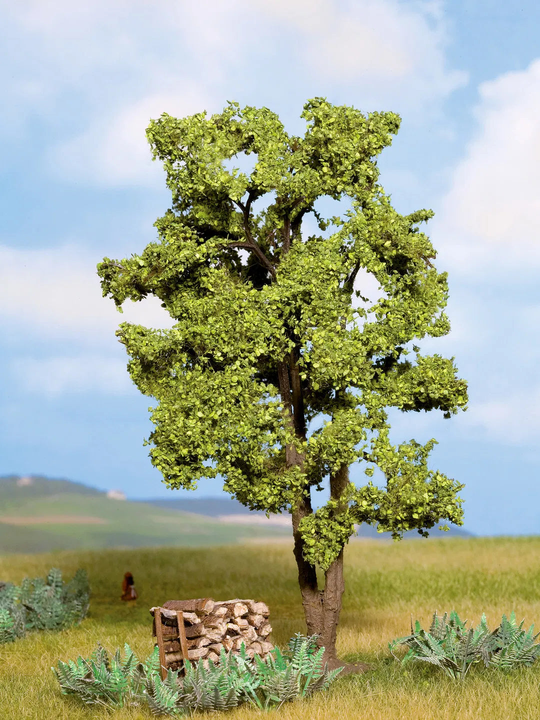 Oak Tree