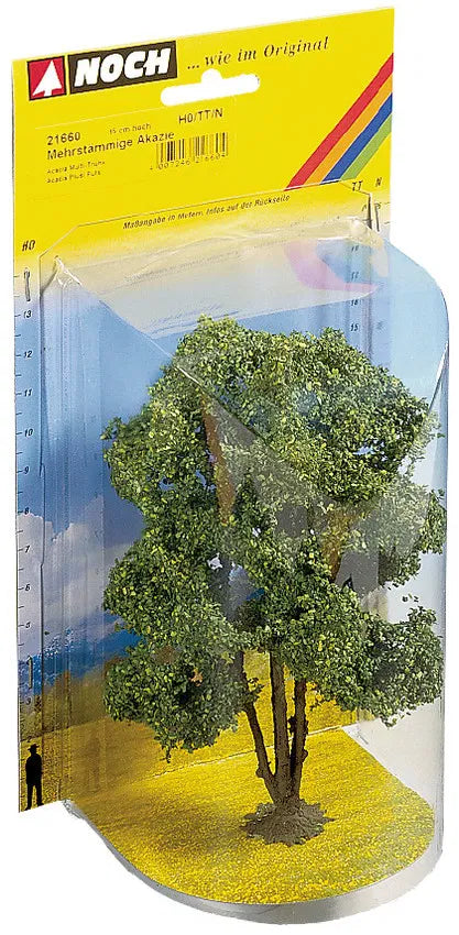 Oak Tree