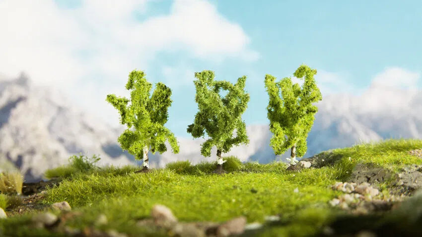 Deciduous Trees