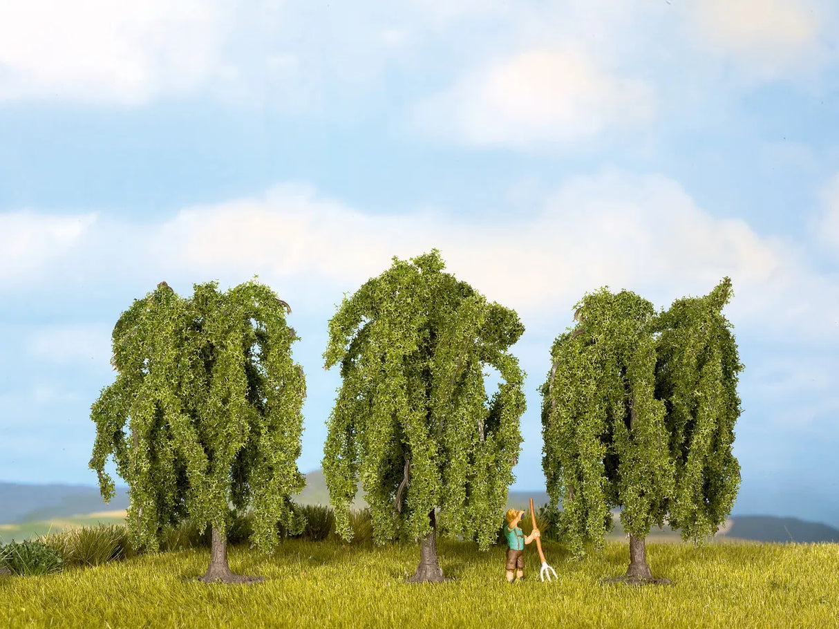 Cypress Trees