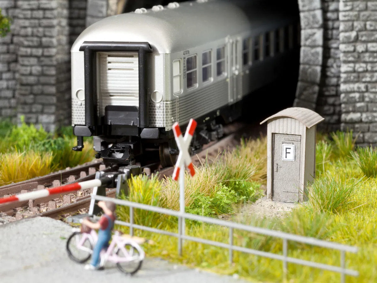 Flowers in Flower Pots