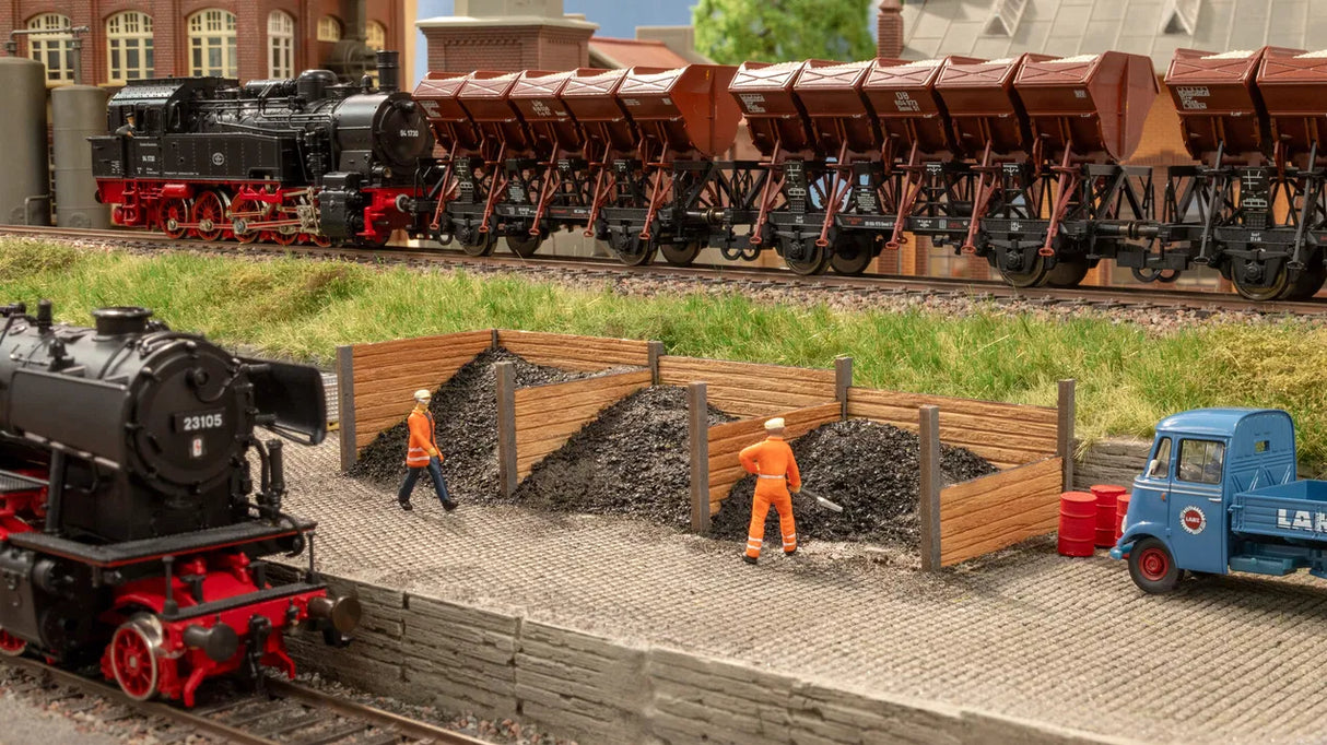 Ornamental Plants in Flower Pots