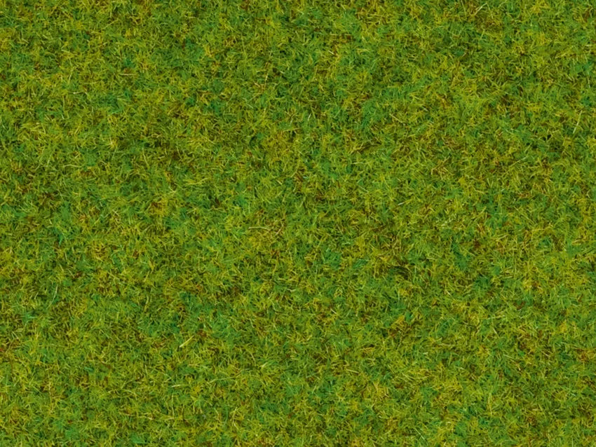 Ground Cover Foliage Dark Green