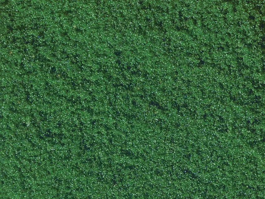 Wild Grass
