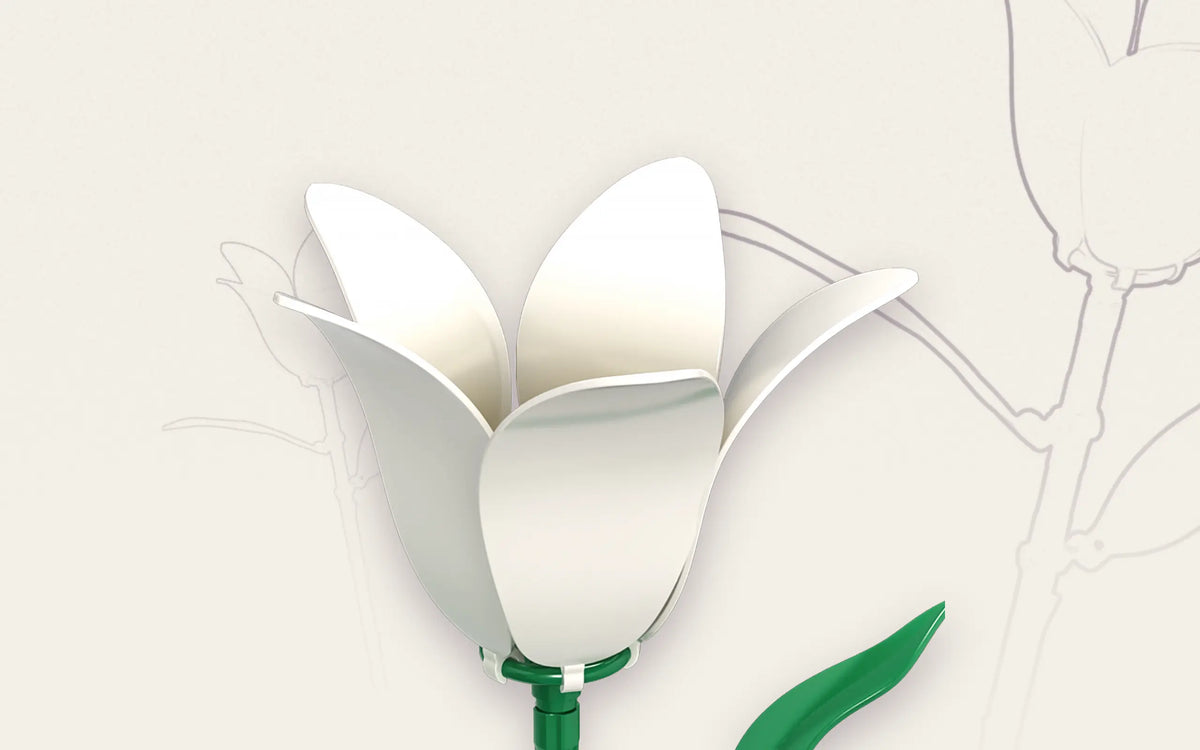 Single Orchid Flower