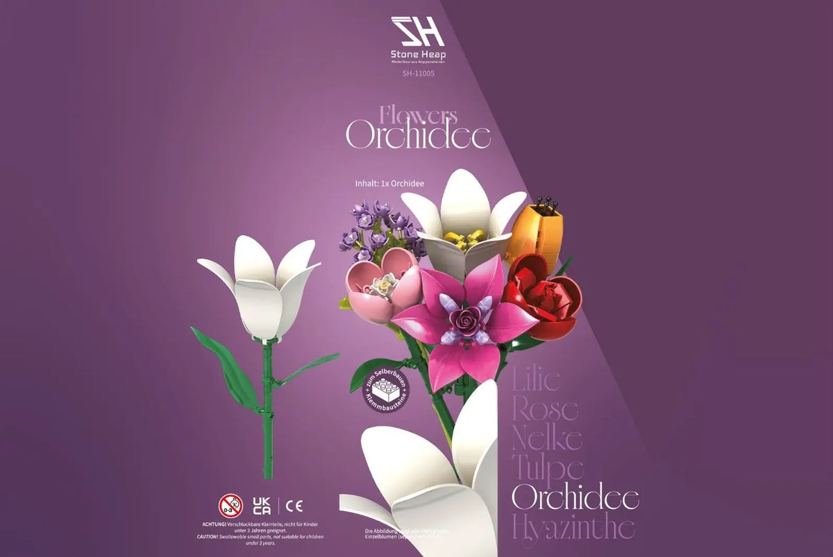 Single Orchid Flower