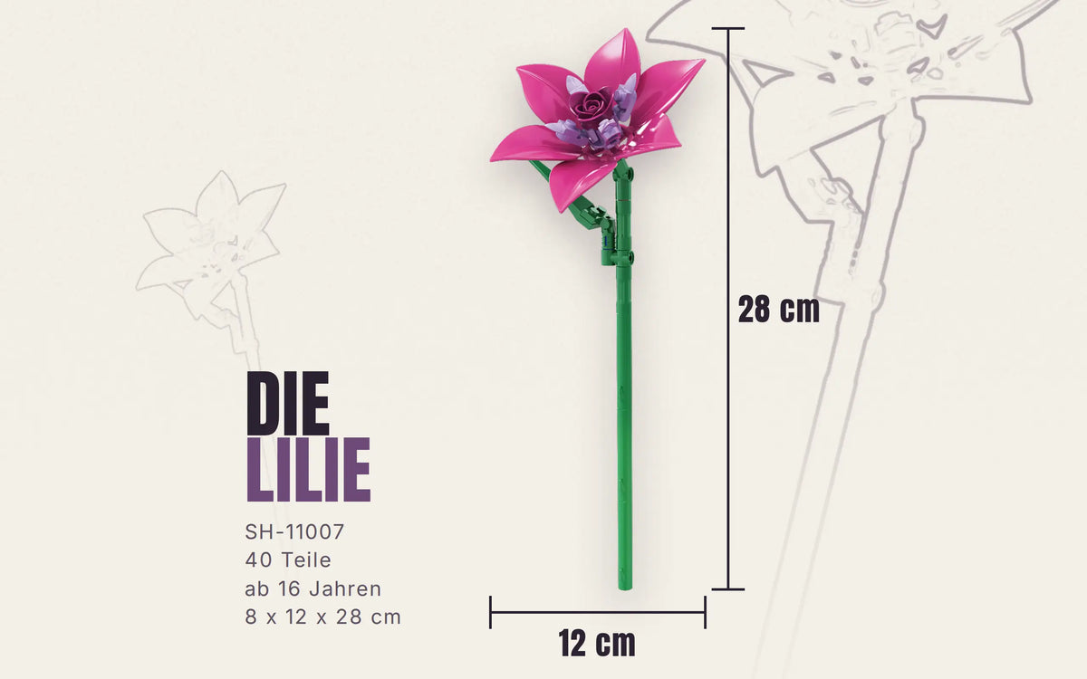 Single Lily