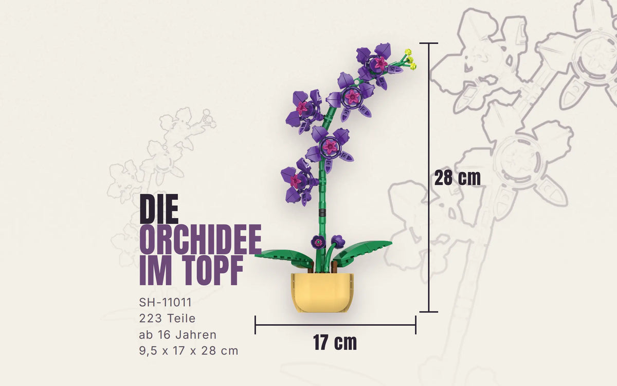 Orchid in a Pot