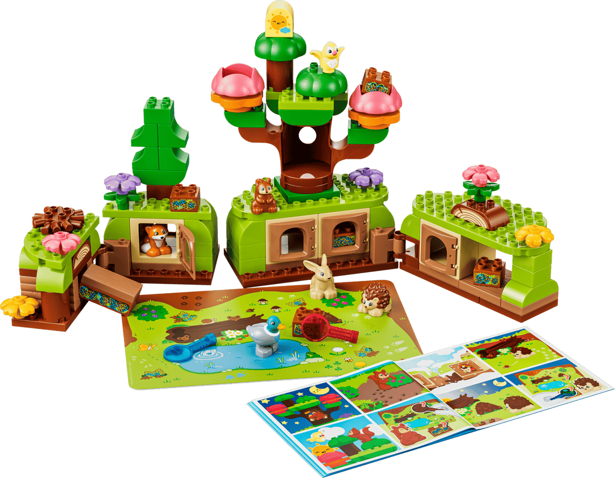 Discovery Forest with Wild Animals