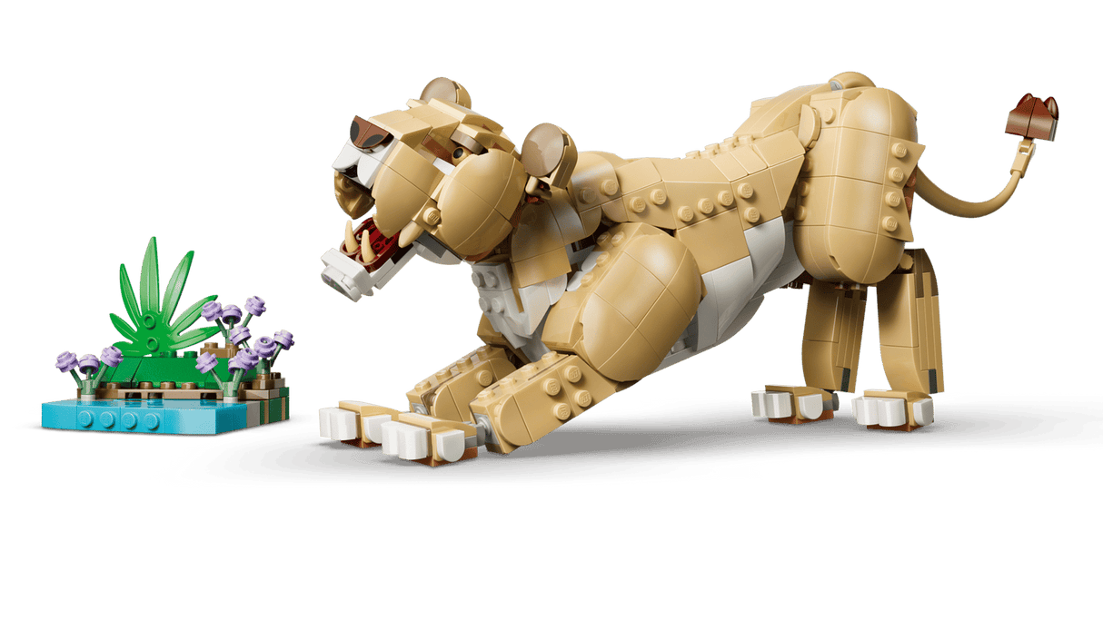 Wild Animals: Majestic Lion
