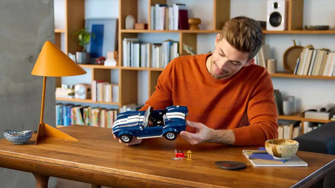LEGO® for Adults