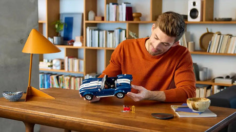 LEGO® for Adults