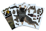 Jurassic World Dominion - Giganotosaurus Revell 3D Puzzle