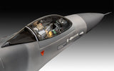 F-16 Falcon 50th Anniversary