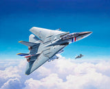 F-14D Super Tomcat