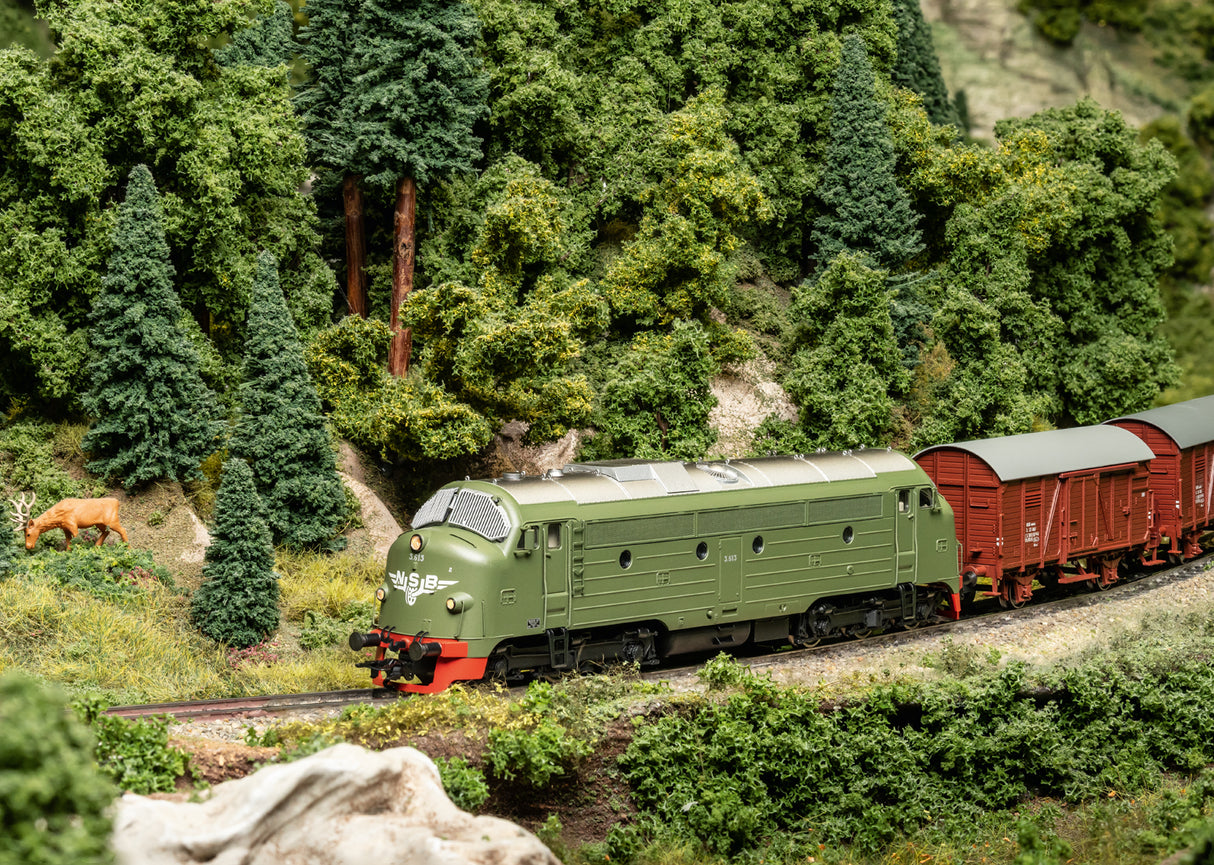 Class F 1200 Steam Locomotive