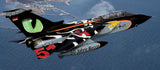 Gift Set NATO Tiger Meet - 60ste Verjaardag
