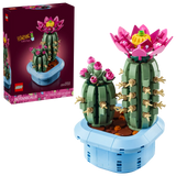 Flowering Cactus
