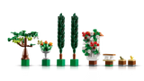 Fountain Garden