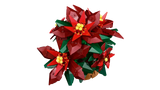 Poinsettia