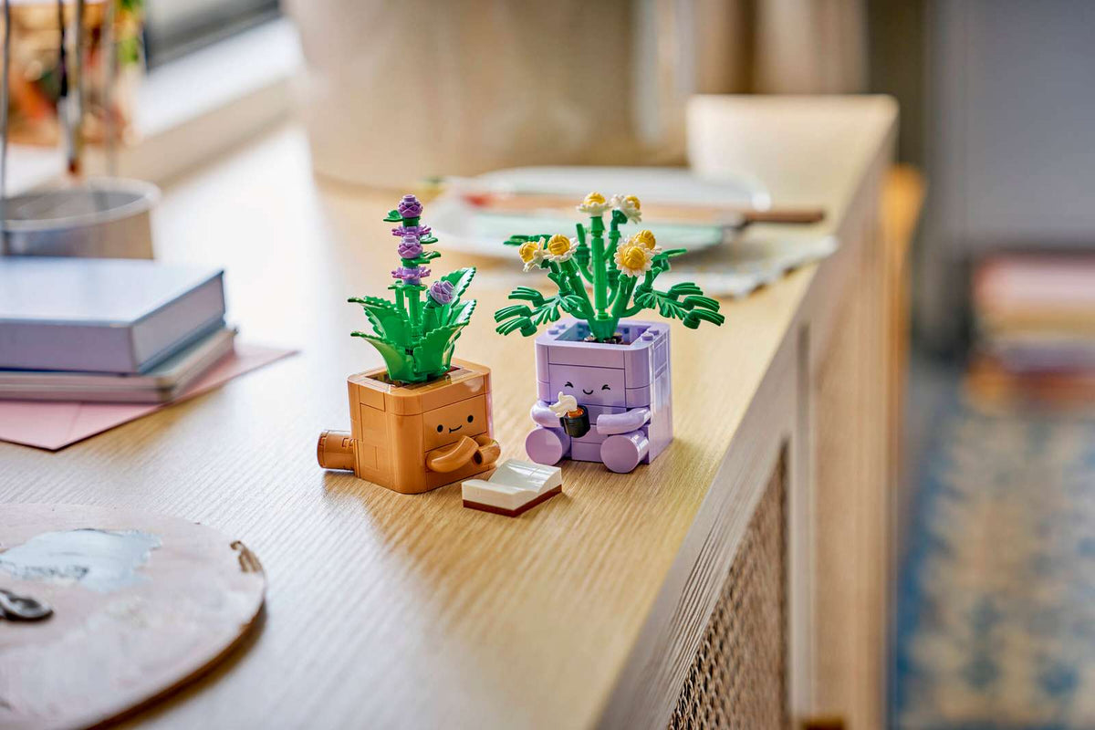 Cozy Plants