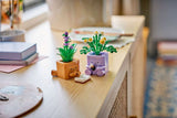 Cozy Plants